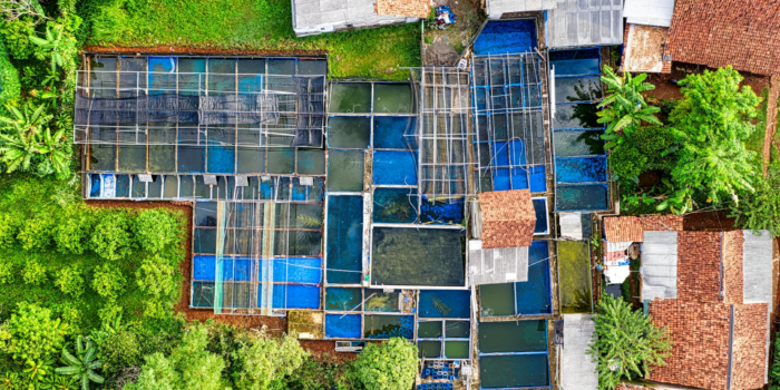Sustainable Development Green Village