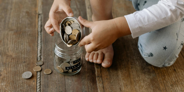 Village Budget Money Coin