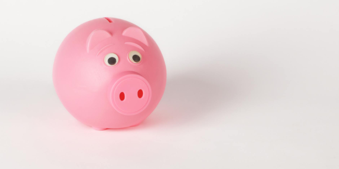 Village Fund Money Transparency